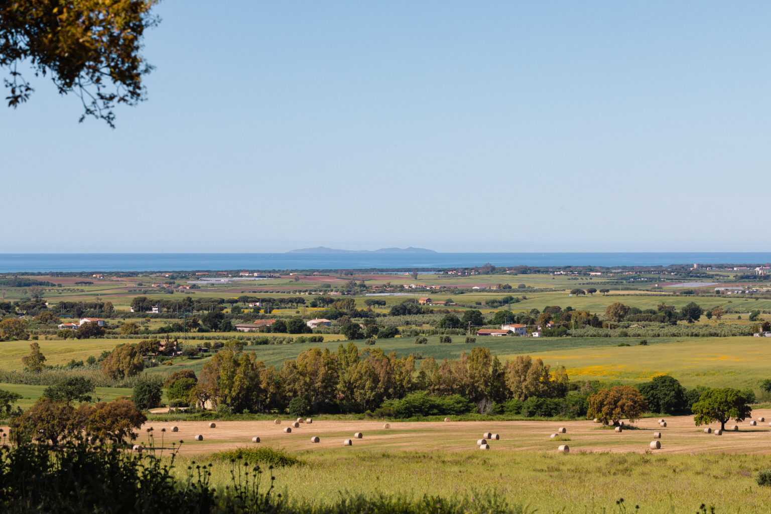 Scenic landscape view featuring rolling green fields, scattered trees, and a distant coastline under a clear blue sky, highlighting the beauty of nature. | Only on SopranoVillas