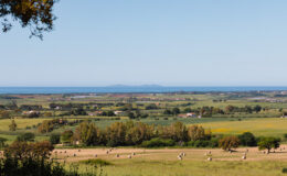  | Only on SopranoVillas