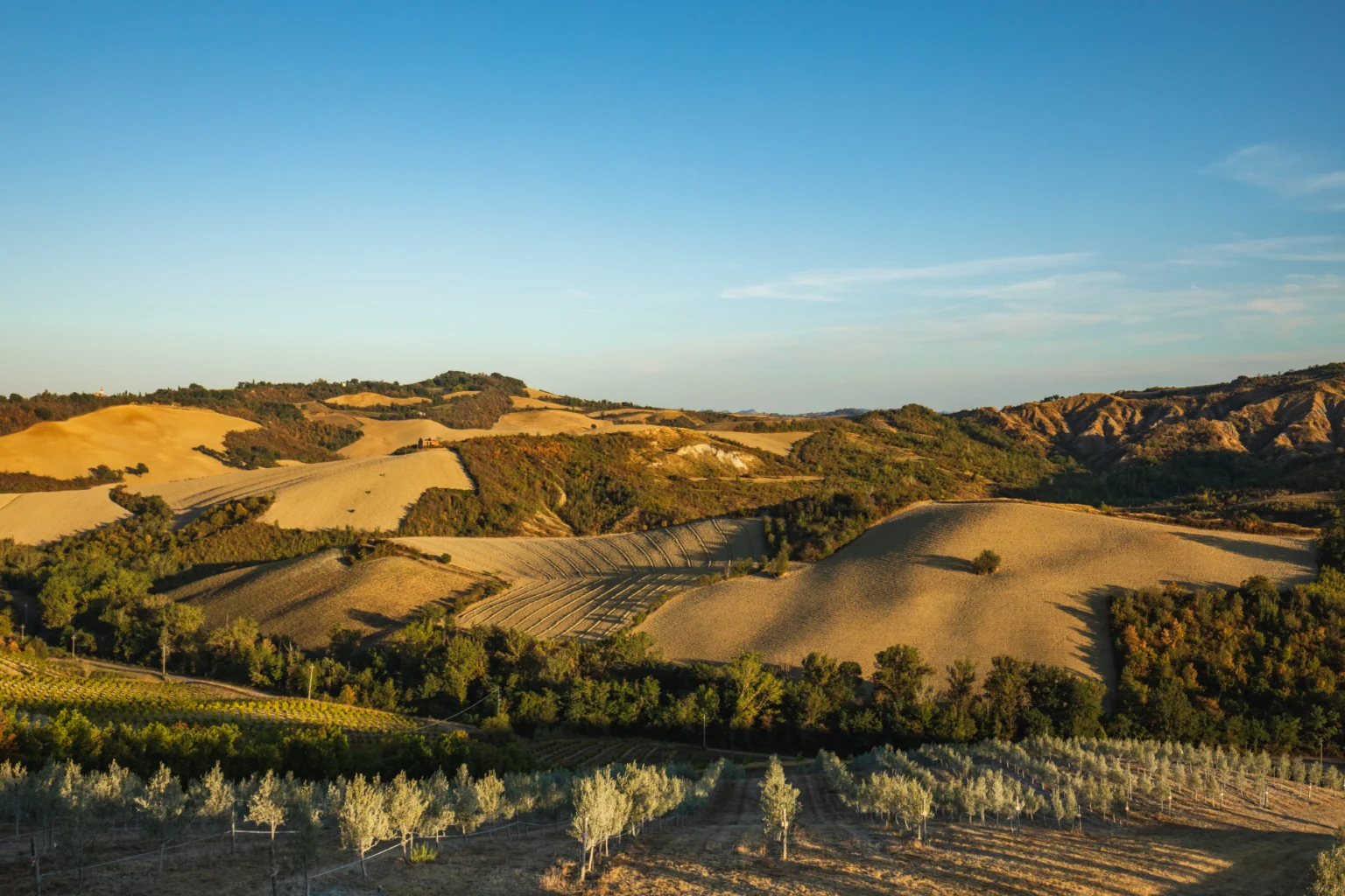 Bolognese Hills Enchanting Villa | Emilia Romagna image 13 | Only on SopranoVillas