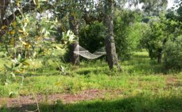  | Only on SopranoVillas