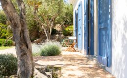 Charming outdoor view of a white house with blue shutters, featuring a stone pathway and lush greenery, ideal for a serene garden setting.
