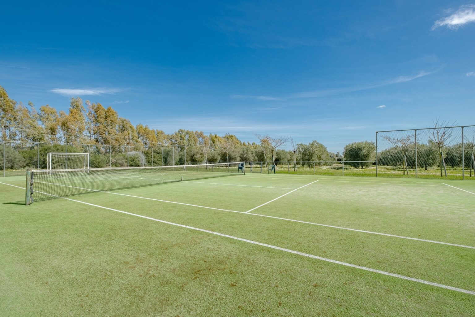 A well-maintained soccer field with goalposts, surrounded by trees and a clear blue sky, ideal for outdoor sports activities. | Only on SopranoVillas