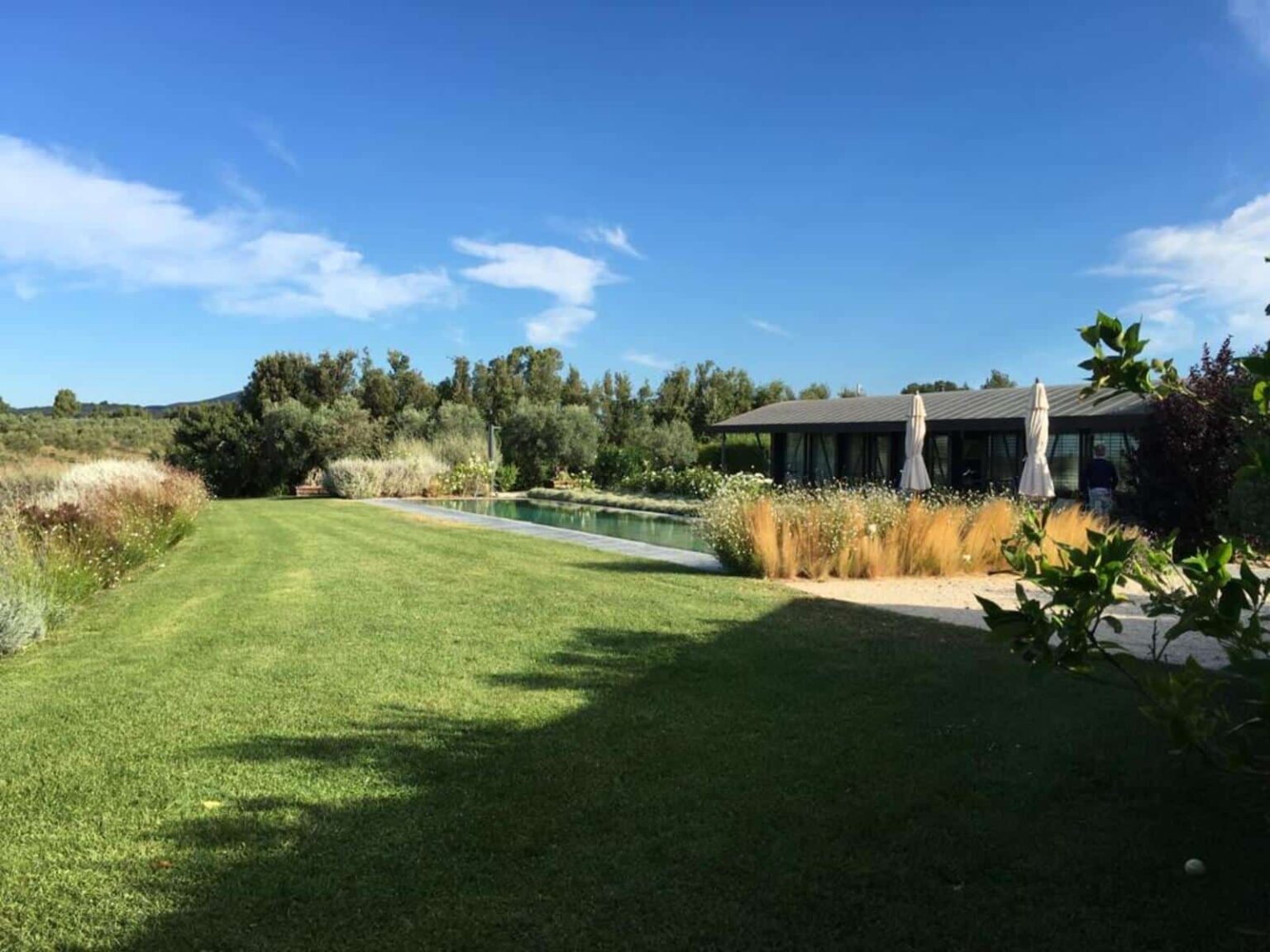 Scenic view of a modern house surrounded by lush greenery and a serene pond, under a clear blue sky, ideal for nature lovers and outdoor enthusiasts. | Only on SopranoVillas