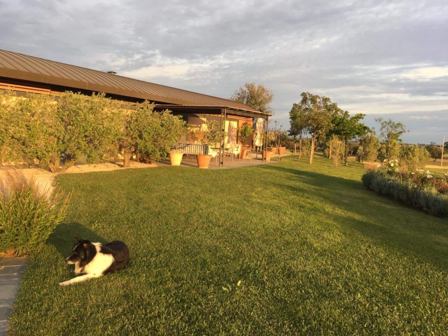 A black and white dog resting on a lush green lawn in front of a rustic stone house surrounded by plants and trees under a partly cloudy sky. | Only on SopranoVillas