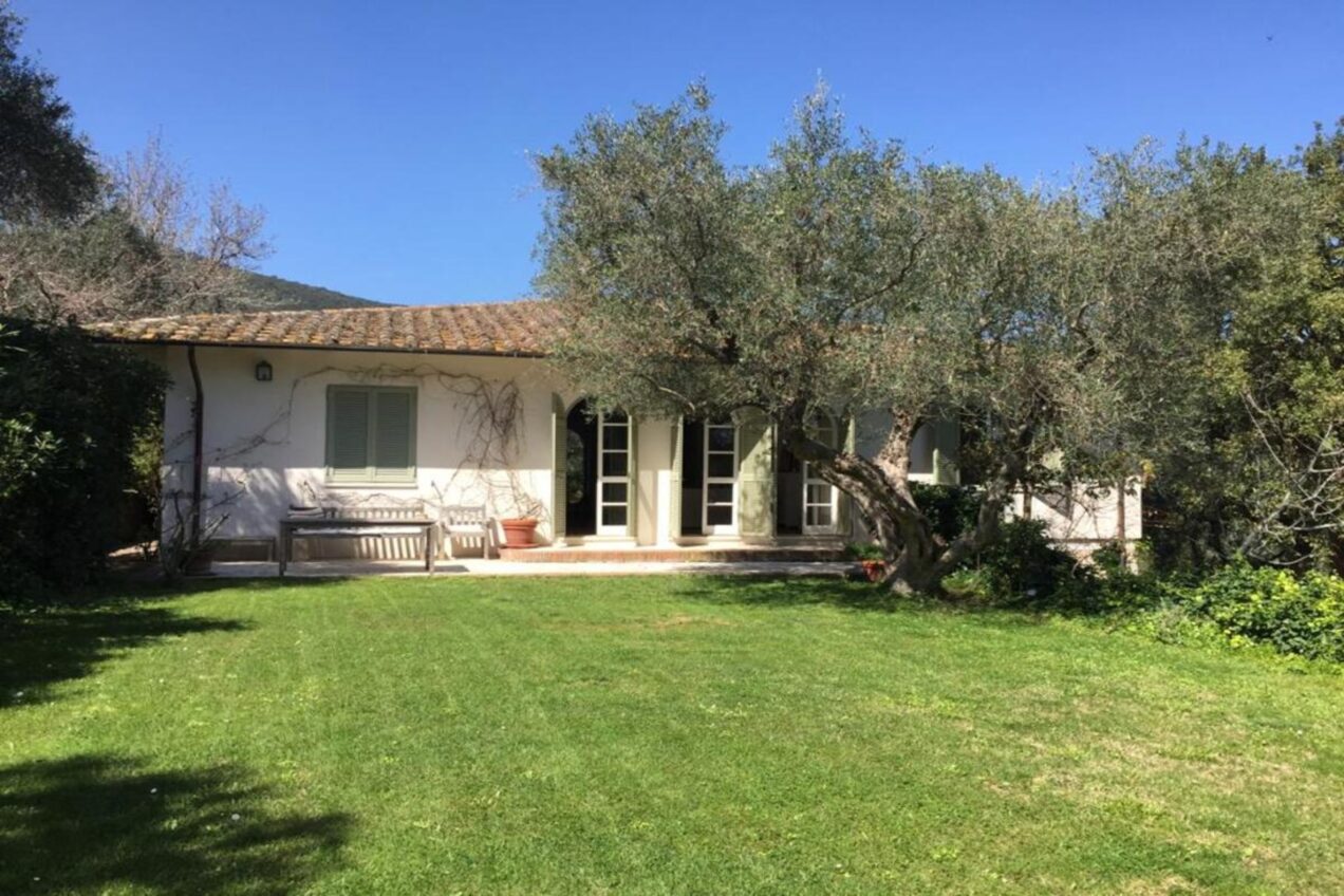 Charming single-story house surrounded by lush greenery and olive trees, featuring a spacious lawn and large windows under a clear blue sky. | Only on SopranoVillas