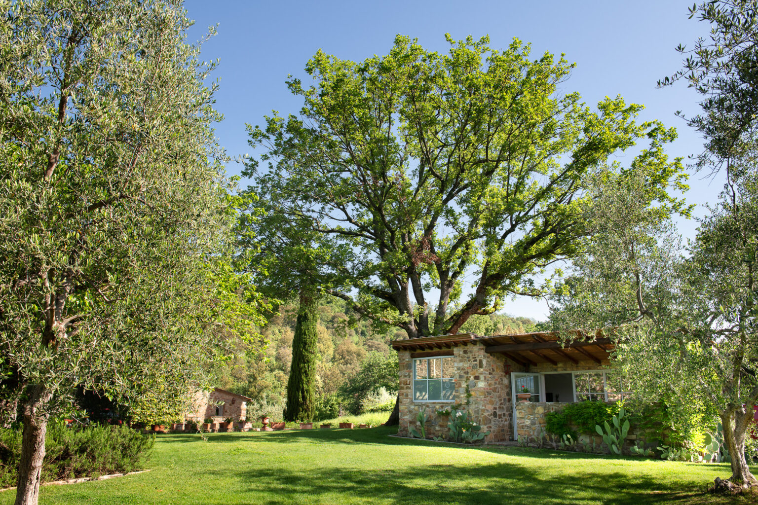 Scenic view of a rustic stone cottage surrounded by lush greenery, including olive trees and a large leafy tree, set against a clear blue sky in a serene landscape. | Only on SopranoVillas