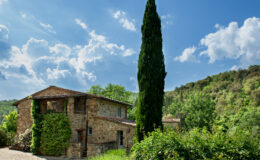 Rustic stone house surrounded by lush greenery and a tall cypress tree, under a bright blue sky with fluffy clouds. Ideal for nature lovers and those seeking a tranquil getaway in the countryside.