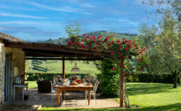 A scenic outdoor dining area surrounded by lush greenery and blooming red roses, featuring a wooden table set for a meal, wicker chairs, and a cozy ambiance with rolling hills in the background. Perfect for al fresco dining and relaxation in a tranquil countryside setting.
