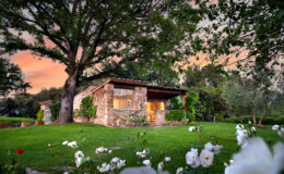 Charming stone cottage surrounded by lush greenery and blooming white flowers, set against a colorful sunset sky. The home features large windows and a rustic design, ideal for nature lovers seeking tranquility.