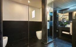 Modern bathroom interior featuring sleek black tile walls, a glass shower enclosure, and a minimalist design. The space includes a white toilet, stylish sink, and decorative plants, creating an elegant and contemporary atmosphere.