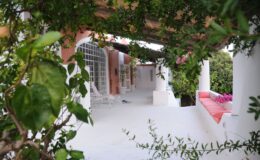 A serene outdoor view of a white-walled patio surrounded by lush greenery, featuring a covered seating area and vibrant purple flowers, ideal for relaxation and enjoying nature.
