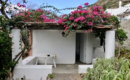Charming white cottage with a wooden roof adorned with vibrant pink bougainvillea flowers, surrounded by lush greenery and a clear blue sky. Perfect for a serene getaway or rustic vacation retreat.