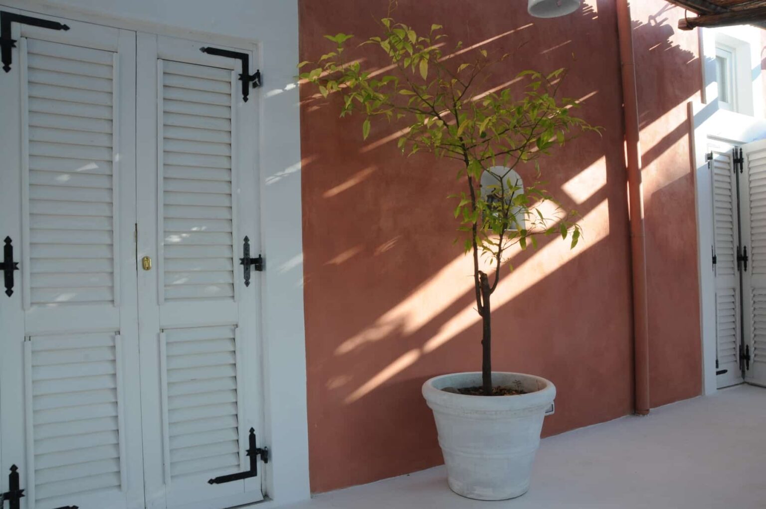 Interior view of a modern space featuring a potted tree next to white wooden shutters against a warm, terracotta wall, with sunlight casting shadows across the floor. | Only on SopranoVillas