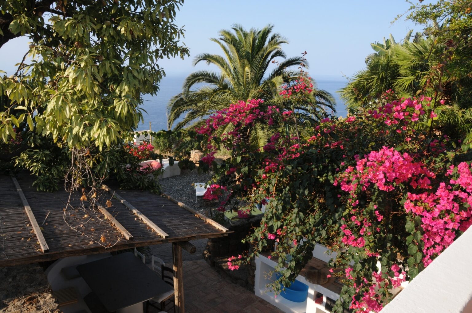 Lush garden with vibrant pink bougainvillea flowers and palm trees overlooking a serene ocean view. | Only on SopranoVillas