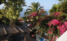Lush garden with vibrant pink bougainvillea flowers and palm trees overlooking a serene ocean view.