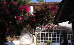 Colorful bougainvillea flowers bloom in a sunny courtyard, showcasing vibrant pink hues against a white-walled building with large windows. The scene captures a peaceful outdoor space, perfect for relaxation and enjoying nature.