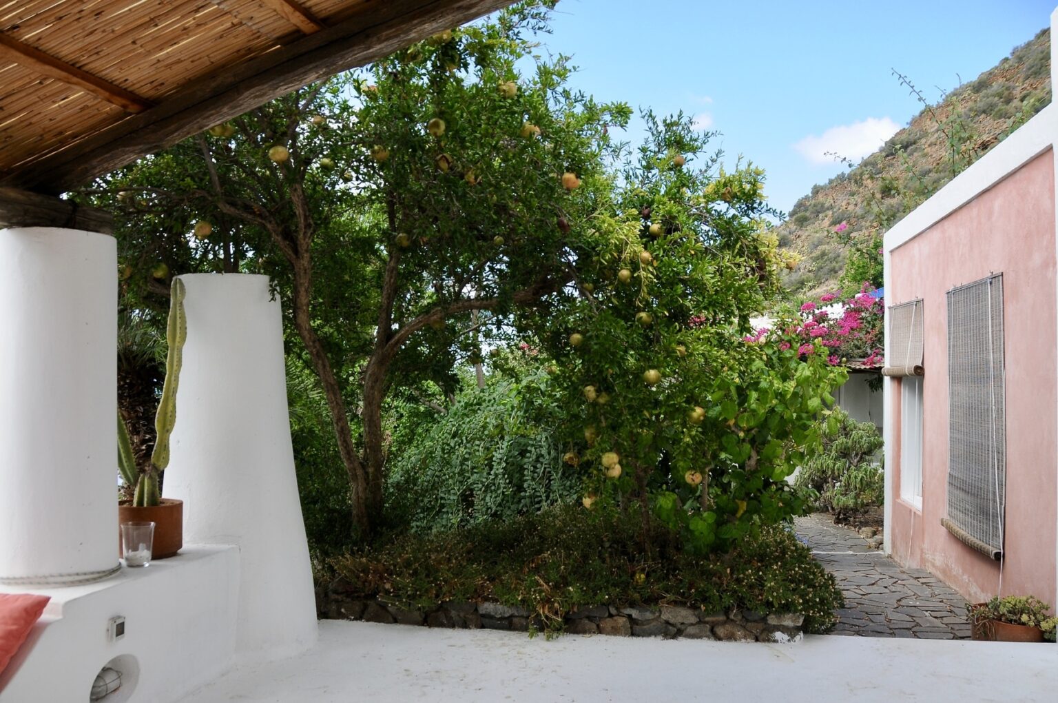 Charming outdoor view of a garden with lush greenery and colorful flowers, featuring a whitewashed wall and a rustic roof structure, set against a clear blue sky. Ideal for showcasing serene outdoor living spaces. | Only on SopranoVillas