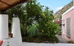 Charming outdoor view of a garden with lush greenery and colorful flowers, featuring a whitewashed wall and a rustic roof structure, set against a clear blue sky. Ideal for showcasing serene outdoor living spaces.