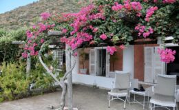 Charming outdoor patio with white chairs under a vibrant bougainvillea canopy, set against a backdrop of a rustic house and lush greenery in a mountainous landscape.
