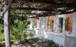 Charming outdoor patio with a wooden pergola adorned with blooming flowers, surrounded by greenery and a white-walled house, creating a serene and inviting atmosphere.
