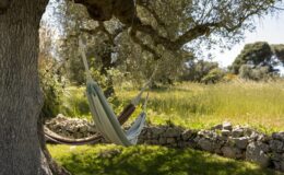 A serene outdoor scene featuring a hammock suspended between two trees, surrounded by lush greenery and a stone wall, perfect for relaxation and leisure in nature.