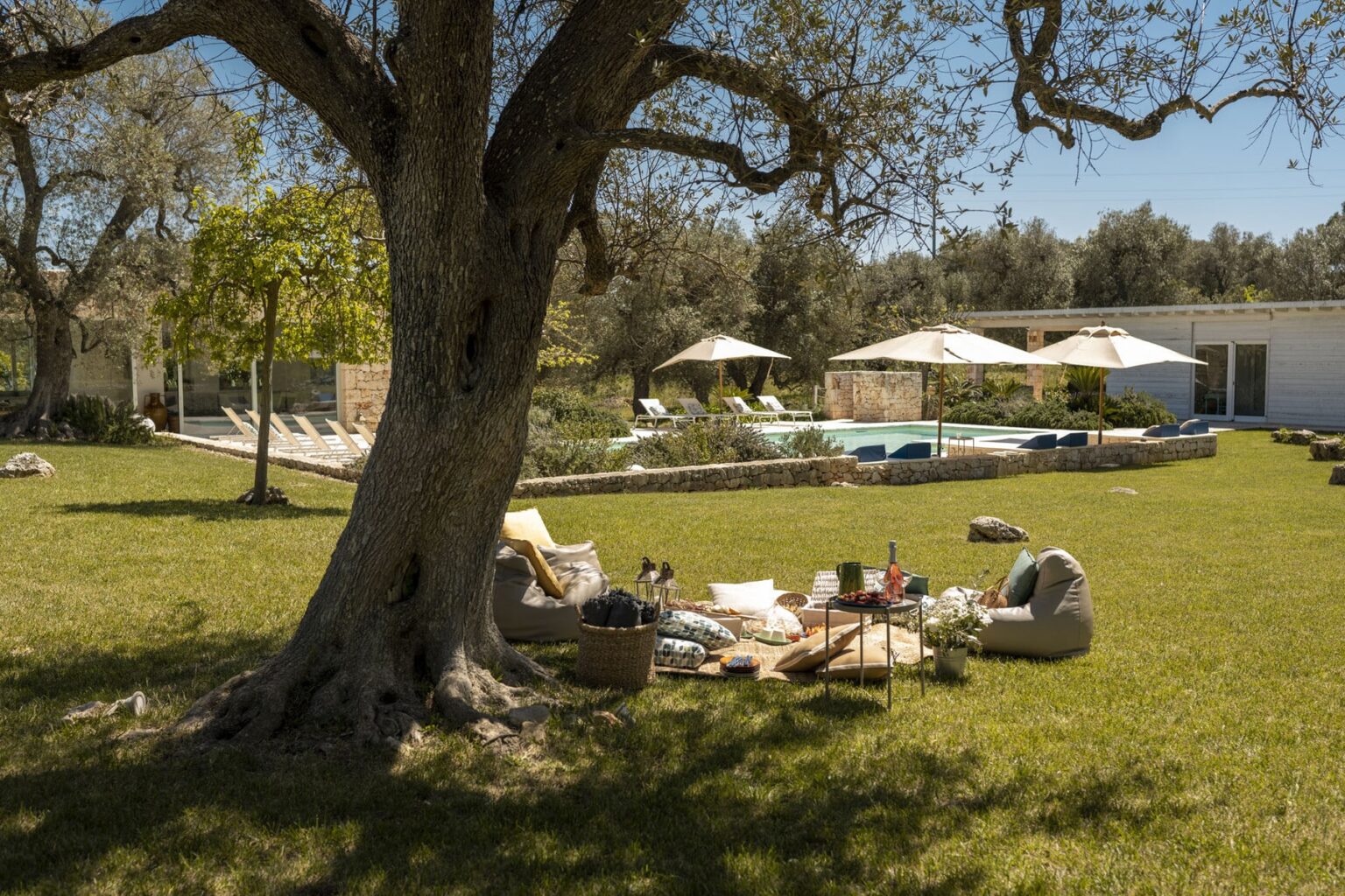 A serene outdoor picnic setup under a large tree, featuring comfortable seating and a picturesque view of a modern pool and landscaped garden in the background. | Only on SopranoVillas