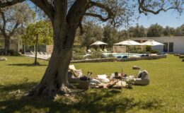 A serene outdoor picnic setup under a large tree, featuring comfortable seating and a picturesque view of a modern pool and landscaped garden in the background.