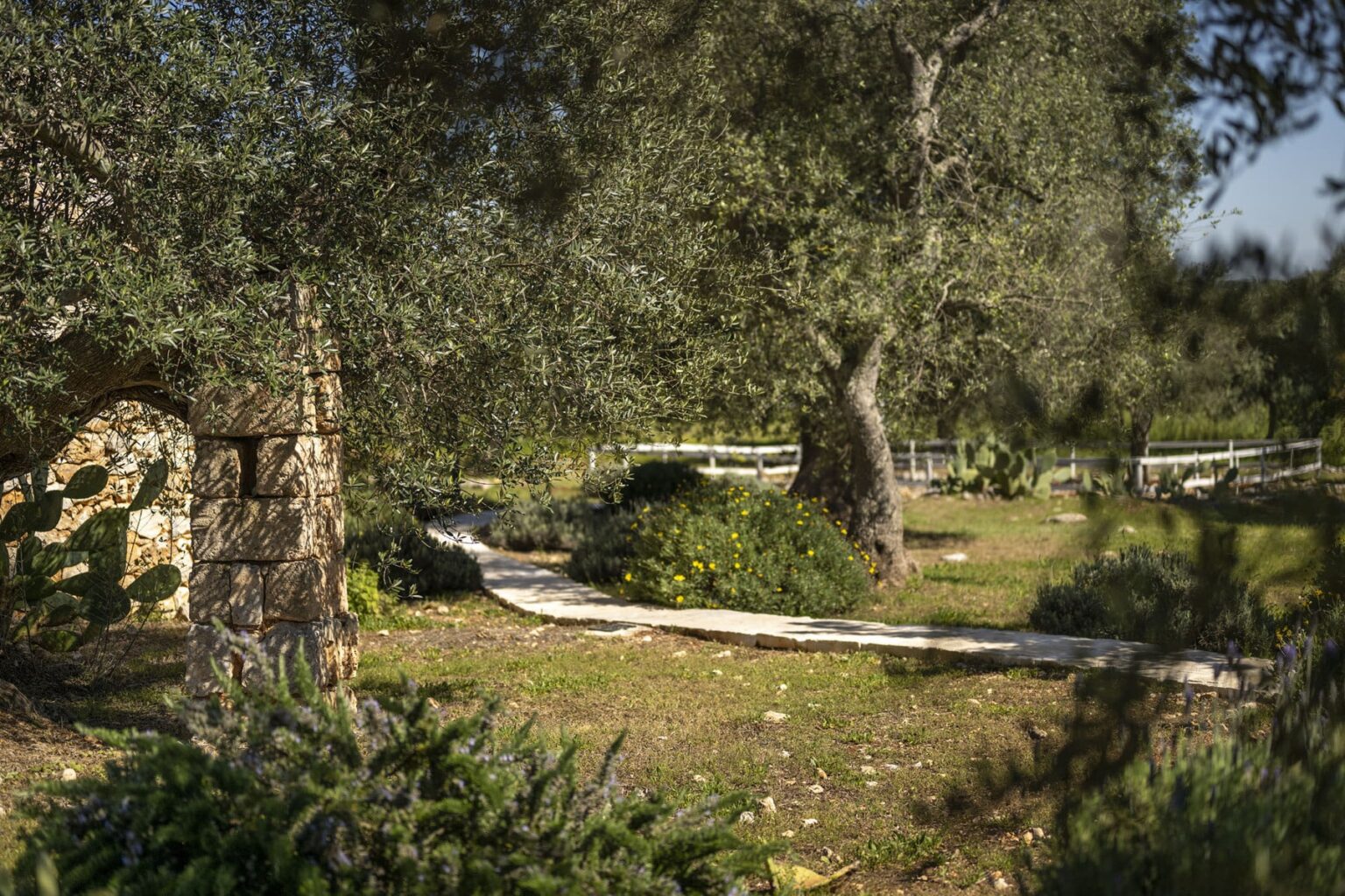 Scenic garden path winding through olive trees and vibrant flowers, surrounded by lush greenery and stone features, ideal for nature walks and outdoor relaxation. | Only on SopranoVillas