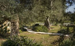 Scenic garden path winding through olive trees and vibrant flowers, surrounded by lush greenery and stone features, ideal for nature walks and outdoor relaxation.