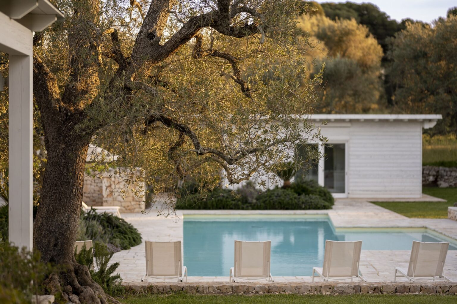 Modern villa with a swimming pool surrounded by a landscaped garden and autumn foliage. Elegant outdoor seating area by the pool, featuring sun loungers and a view of the contemporary white architecture. | Only on SopranoVillas