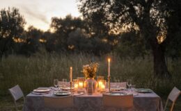 Outdoor dining setup at sunset with a beautifully decorated table, candles, and floral centerpiece surrounded by olive trees. Ideal for intimate gatherings or special occasions.