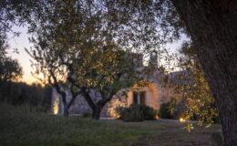Olive tree branches frame a rustic stone building at dusk, highlighting the warm glow of outdoor lights and lush greenery in a tranquil garden setting.