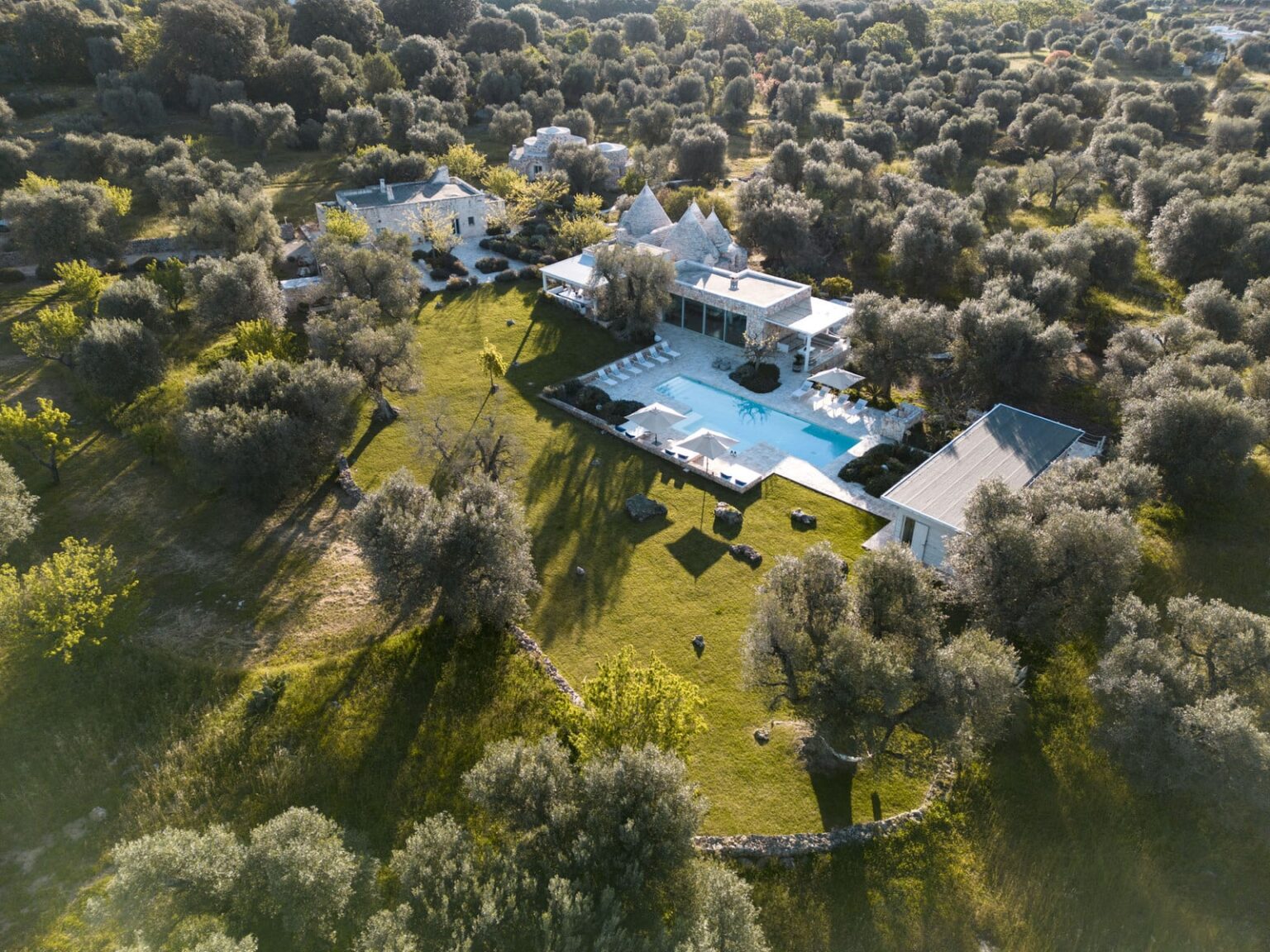 Aerial view of a luxurious villa surrounded by olive trees, featuring a large swimming pool and well-maintained gardens. | Only on SopranoVillas