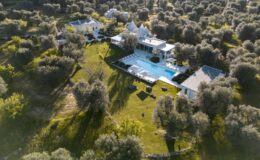 Aerial view of a luxurious villa surrounded by olive trees, featuring a large swimming pool and well-maintained gardens.