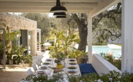 Outdoor dining area featuring a long table set with colorful plates and glassware, surrounded by lush greenery and cacti, with a view of a swimming pool in the background. The space is bathed in natural light, enhancing the inviting atmosphere for gatherings.