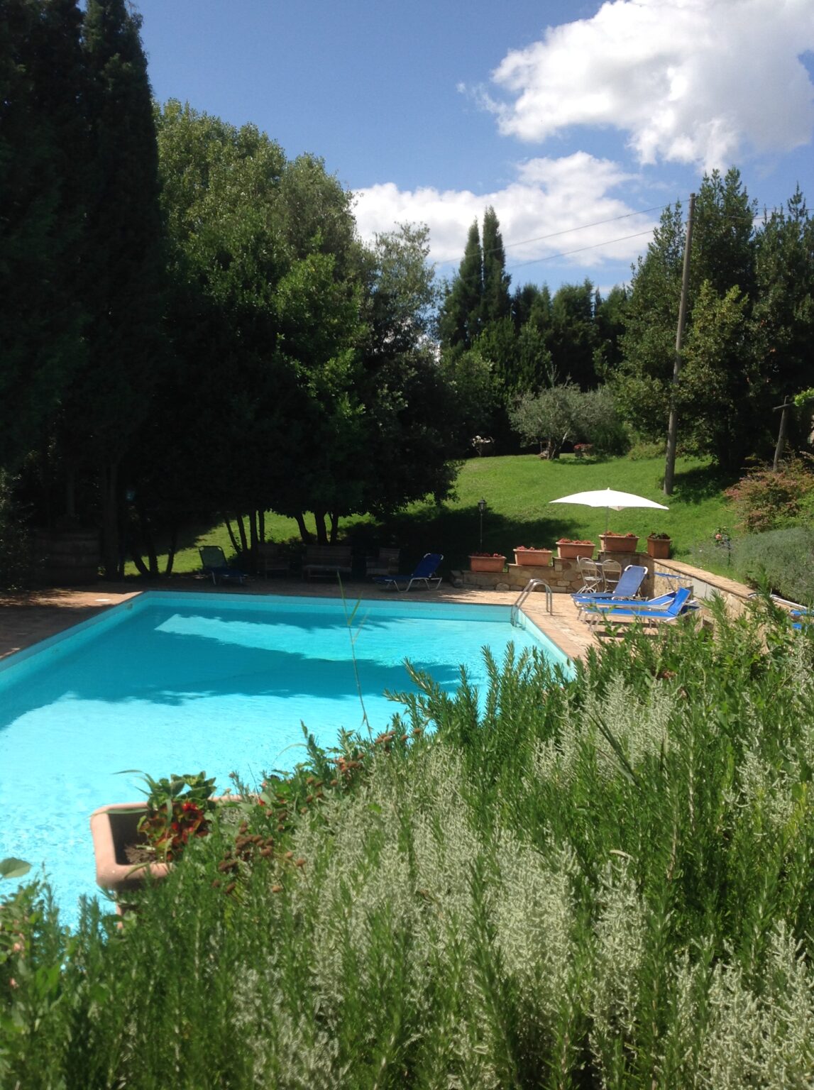 Serene outdoor swimming pool surrounded by lush greenery, sun loungers, and an umbrella in a tranquil garden setting. Ideal for relaxation and leisure activities. | Only on SopranoVillas