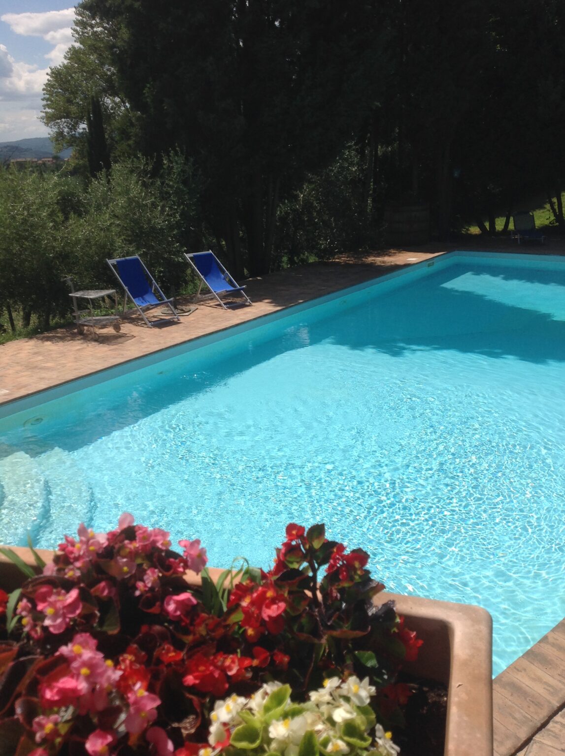 Sparkling blue swimming pool surrounded by sun loungers and lush greenery, ideal for relaxation and summer enjoyment. | Only on SopranoVillas