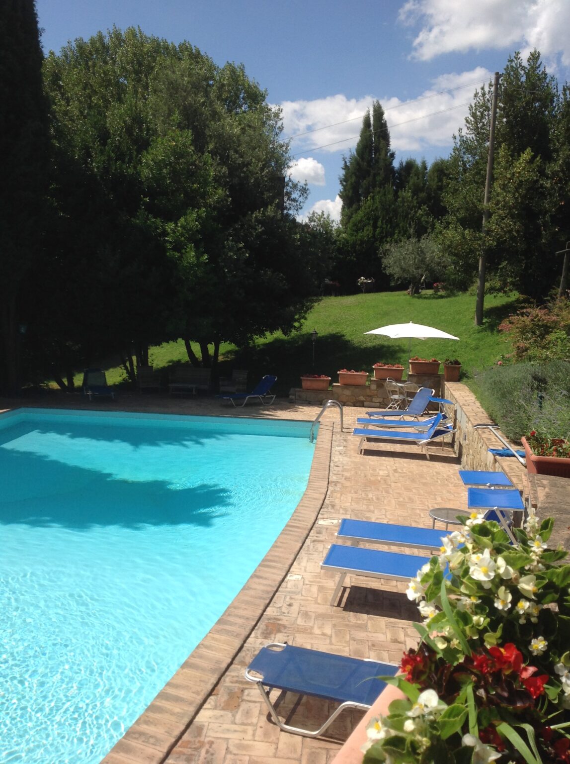 Outdoor swimming pool surrounded by lounge chairs and a green lawn, featuring sun umbrellas and trees in a tranquil garden setting. | Only on SopranoVillas