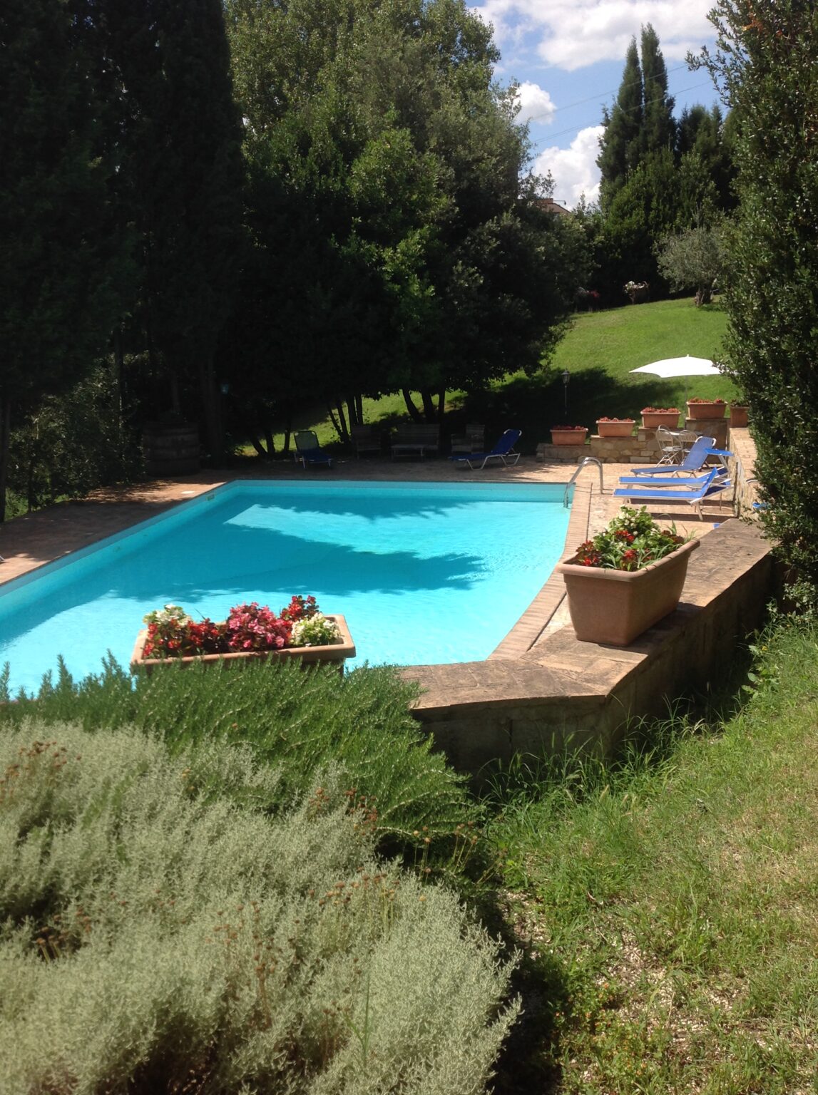 Inviting outdoor swimming pool surrounded by lush greenery, featuring comfortable lounge chairs and vibrant flower pots, ideal for relaxation and leisure. | Only on SopranoVillas