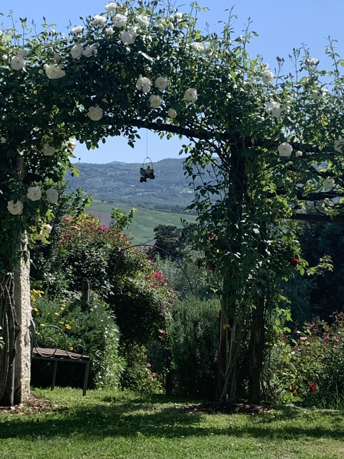 Scenic view through a floral archway, featuring lush greenery and colorful flowers, with rolling hills in the background under a clear blue sky. | Only on SopranoVillas