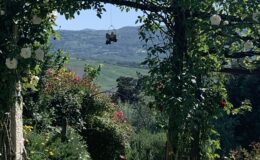  | Only on SopranoVillas