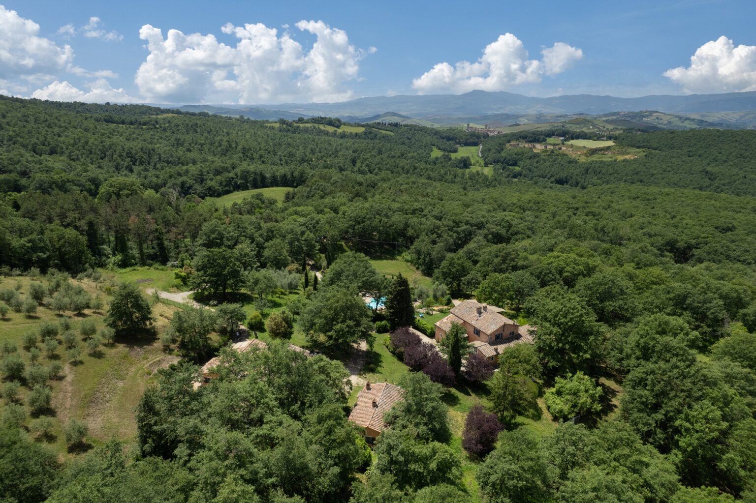 Aerial view of a picturesque countryside landscape featuring lush green forests and rolling hills, with a cluster of rustic homes nestled among trees under a bright blue sky with fluffy white clouds. | Only on SopranoVillas