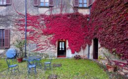 Charming courtyard featuring a rustic stone wall adorned with vibrant red ivy, two entrances, and a small seating area with blue metal chairs and tables surrounded by lush greenery.