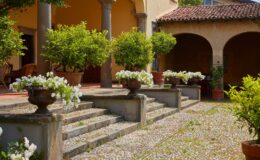 Beautiful courtyard with stone steps leading to a rustic building, adorned with lush green potted plants and vibrant white flowers in decorative urns, creating a serene and inviting atmosphere.