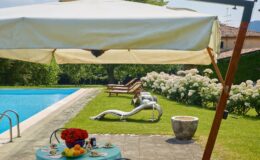 A serene outdoor scene featuring a swimming pool surrounded by lush greenery and blooming white hydrangeas. In the foreground, a table set with tea cups and fresh fruits sits under a large umbrella, while lounge chairs are positioned nearby for relaxation. The setting exudes tranquility, perfect for a summer getaway.