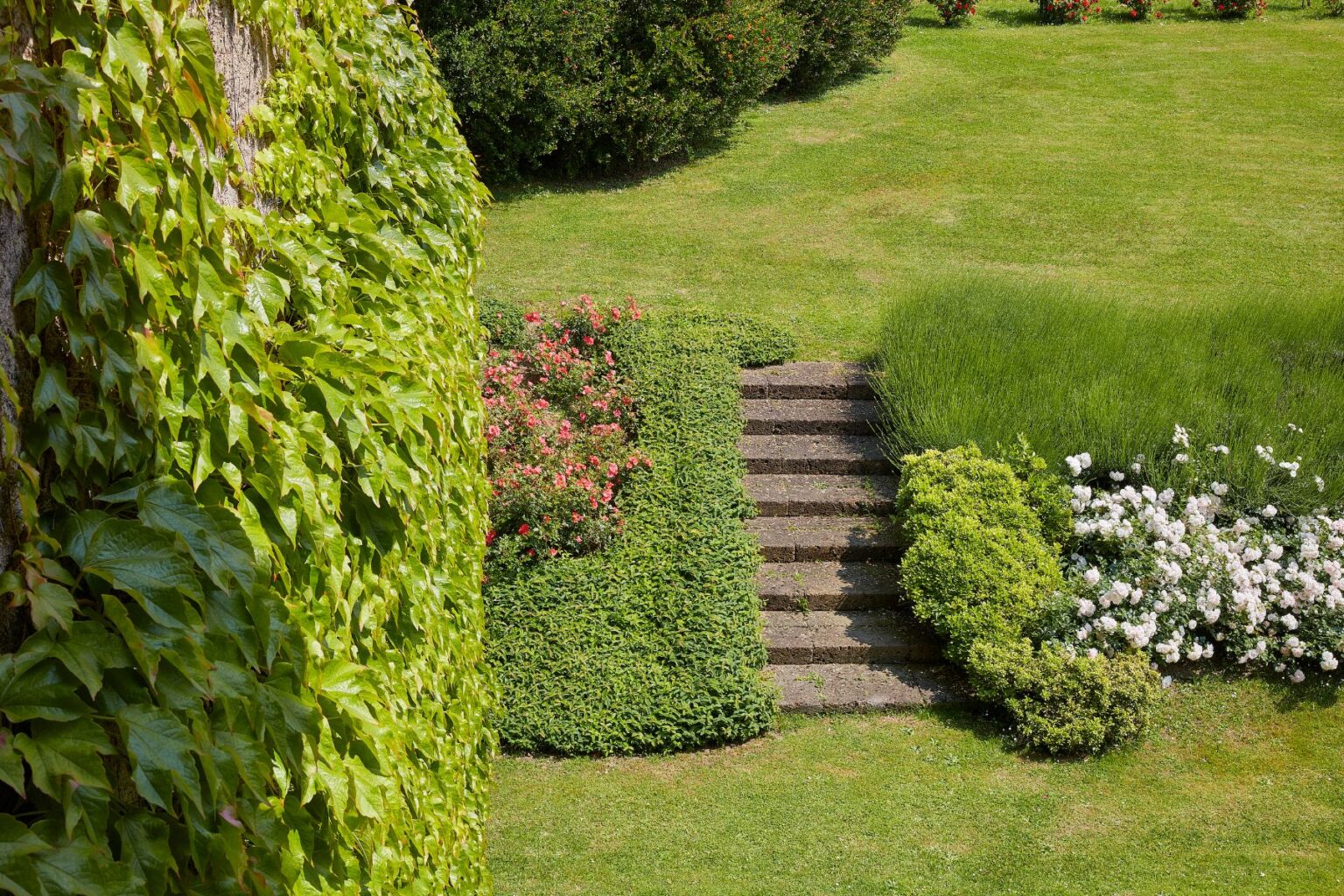 Lush green garden featuring a stone staircase surrounded by vibrant flower beds, including pink roses and white blooms, with ivy-covered walls and manicured shrubs. Perfect for landscaping inspiration and garden design ideas. | Only on SopranoVillas