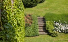 Lush green garden featuring a stone staircase surrounded by vibrant flower beds, including pink roses and white blooms, with ivy-covered walls and manicured shrubs. Perfect for landscaping inspiration and garden design ideas.