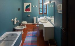 Modern bathroom with teal walls, a bathtub, bidet, and toilet. Features a double sink vanity with a large mirror, decorative cherry artwork, and a colorful rug on the terracotta floor. Natural light enters through a window, enhancing the space's inviting atmosphere.