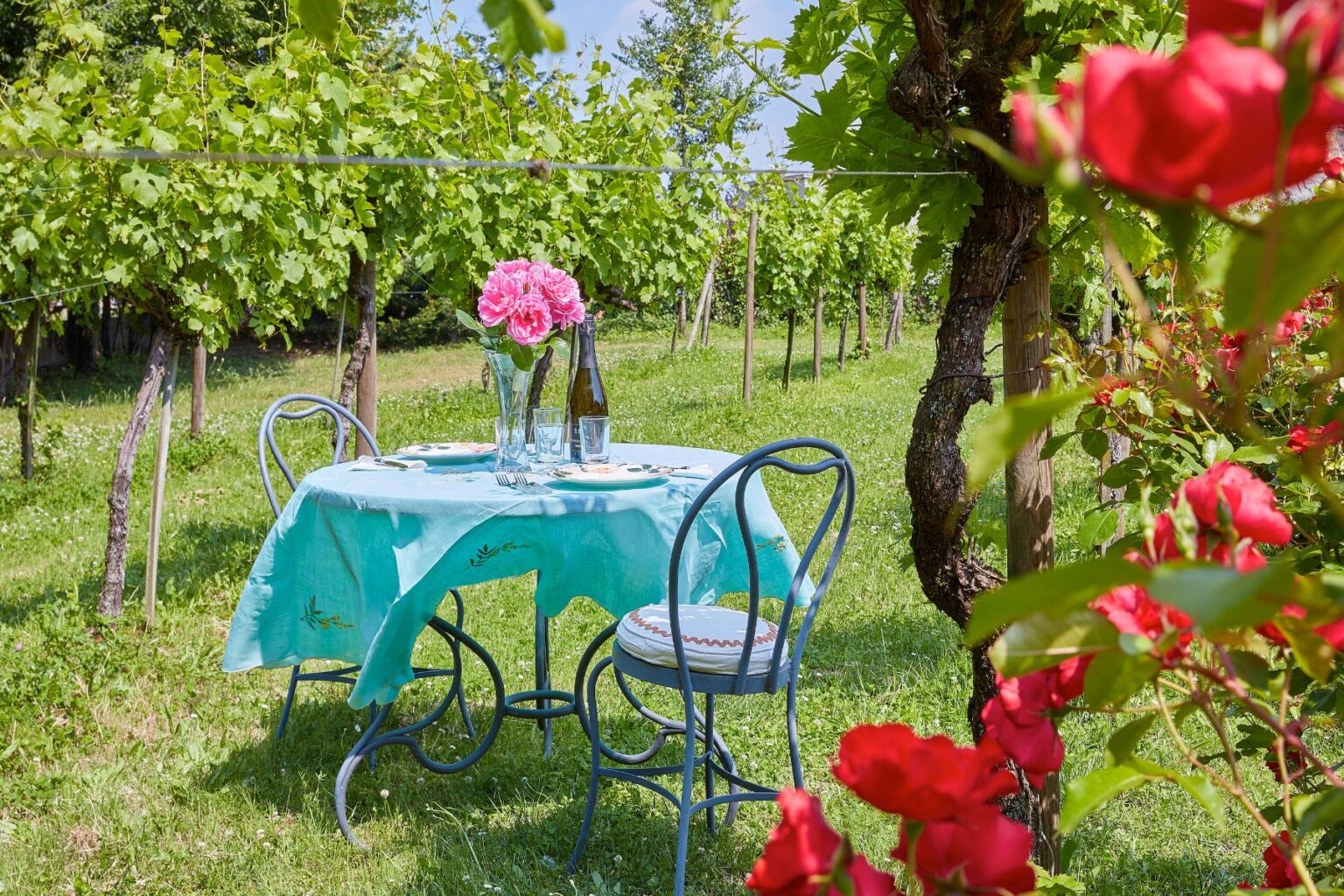 A picturesque outdoor dining setup featuring a turquoise tablecloth, a vase of pink flowers, a wine bottle, and glasses, surrounded by lush green vineyards and blooming red roses. Ideal for a romantic picnic or a vineyard dining experience. | Only on SopranoVillas