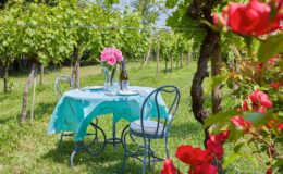 A picturesque outdoor dining setup featuring a turquoise tablecloth, a vase of pink flowers, a wine bottle, and glasses, surrounded by lush green vineyards and blooming red roses. Ideal for a romantic picnic or a vineyard dining experience.